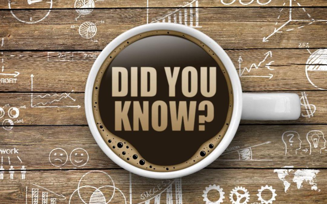 AiN Executive Insights – April 2024